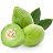 Smidge Kakadu Plum
